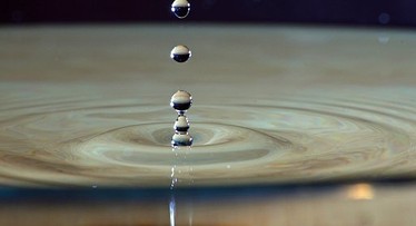 Nueva realidad del Secreto Bancario y acciones nominativas luego de Ley de Transparencia Fiscal Internacional.