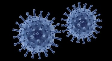 Coronavirus (COVID-19) - Actualización de información de interés para empresas: ¿Con qué herramientas cuentan para afrontar esta situación?